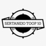 Logo da emissora Rádio Sertanejo Toop 10