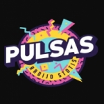 Logo da emissora Pulsas 96.6 FM
