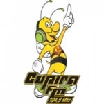 Logo da emissora Rádio Cupira 104.9 FM