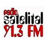 Logo da emissora Radio Satelital 91.3 FM