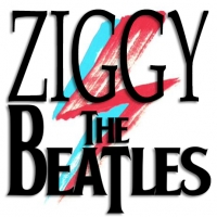 Rádio Ziggy The Beatles